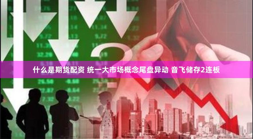 什么是期货配资 统一大市场概念尾盘异动 音飞储存2连板