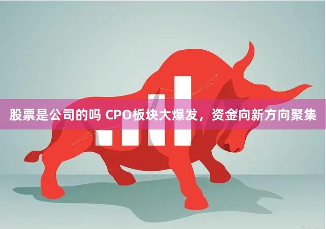 股票是公司的吗 CPO板块大爆发，资金向新方向聚集