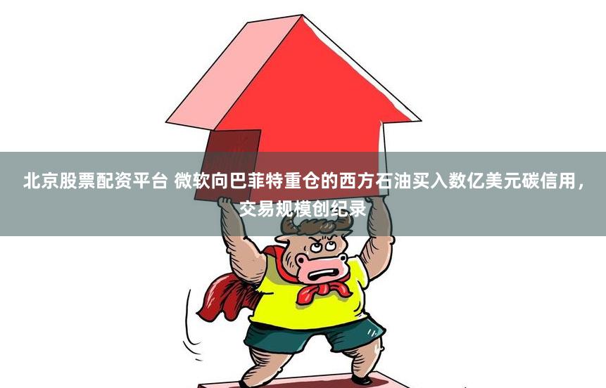北京股票配资平台 微软向巴菲特重仓的西方石油买入数亿美元碳信用，交易规模创纪录
