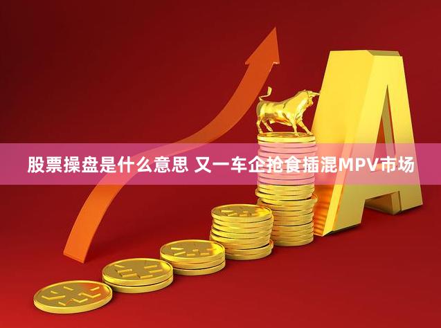股票操盘是什么意思 又一车企抢食插混MPV市场
