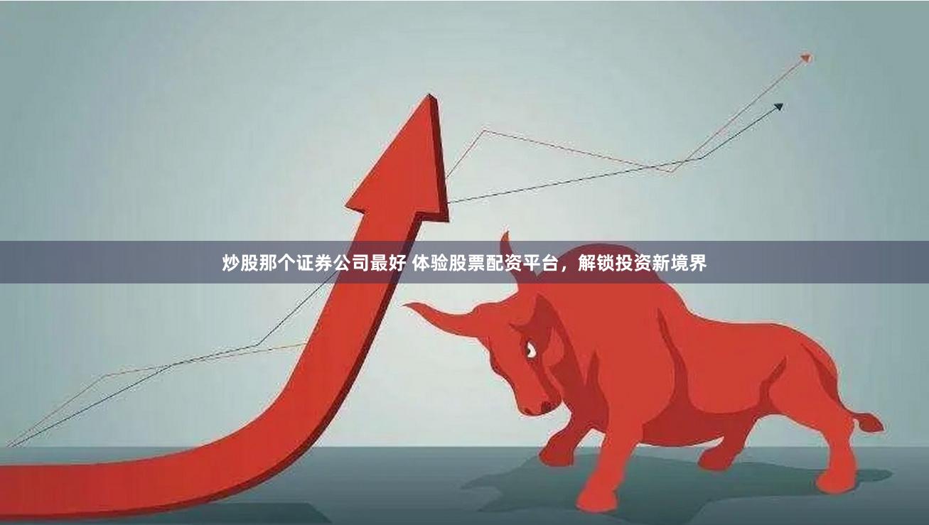 炒股那个证券公司最好 体验股票配资平台，解锁投资新境界