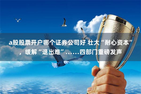a股股票开户哪个证券公司好 壮大“耐心资本”，缓解“退出难”……四部门重磅发声